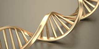 Salmon DNA (PDRN) in Korean Skincare.