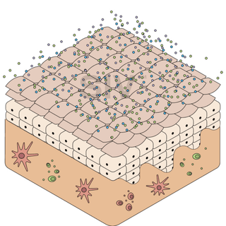 Biome Balancing Serum