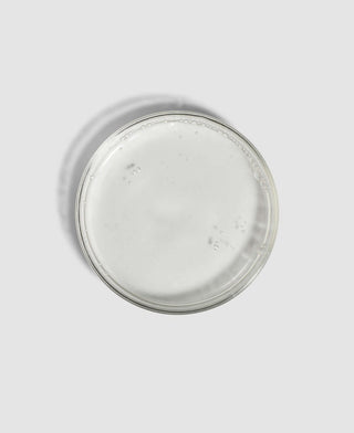 Multi-Bioactive Mela-Prep Lotion