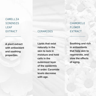Gentle Foaming Cleanser_Alumier ingredients 