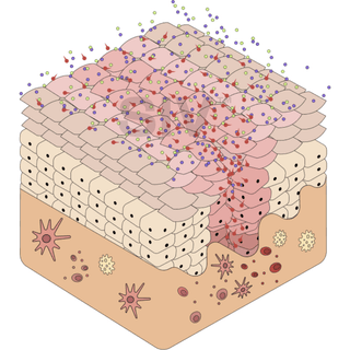 Biome Balancing Serum