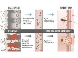 Biome Balance Within