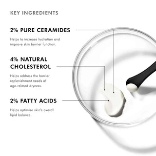 Skin Ceuticals Triple Lipid Restore Ingredients
