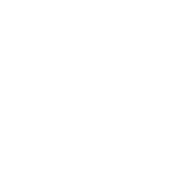 Skyn Alchemy logo white